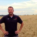 Le blé d’automne: mettre toutes les chances de son côté