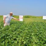 Jean-François Foley agr. pour BASF