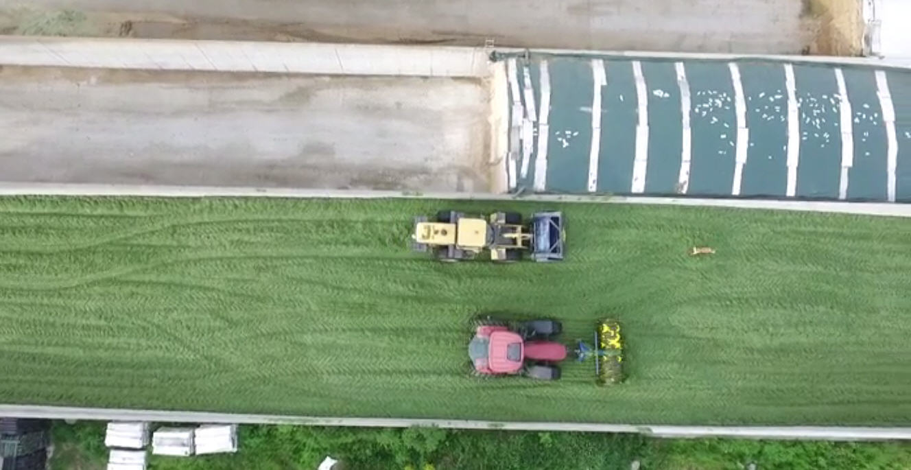 «Bypasser» l’importance du microbiote des silos, une erreur trop fréquente