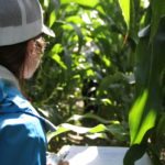 La Tournée des grandes cultures s’en vient