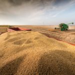 Marché des grains: La production brésilienne préoccupe