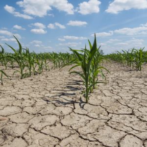 Un super phénomène climatique pourrait se produire cette année