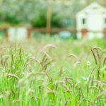 FAC accorde 1,5 million $ pour 78 projets communautaires canadiens