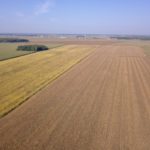 Glyphosate, victime de son succès?