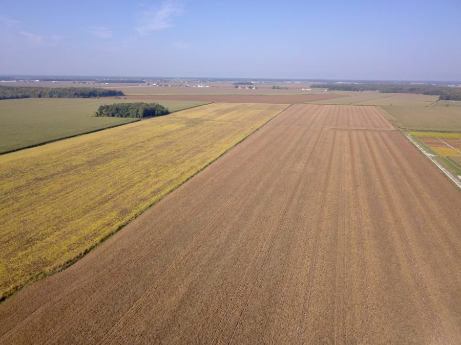 Pour moins de pertes lors de la récolte de soya