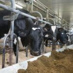 Ajout de carbonate de potassium, oui ou non?