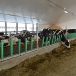 Visite aux fermes Pellerat et Jeandon