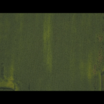 Tournée  des grandes cultures: un potentiel plus grand qu&rsquo;en 2016