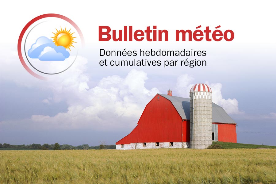 Météo: suivez vos cultures!