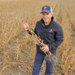 Comment obtenir plus de rendements avec les variétés de soya à port buissonnant?