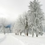 Hiver : un retour vers les normales