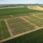 Les résultats des essais soya 2017 du RGCQ sont maintenant en ligne