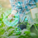 Les technologies agricoles tuent-elles les prix?!
