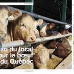 Le Bulletin du mois de décembre est prêt!