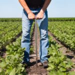 Santé des sols : Une situation moins alarmante qu’anticipée