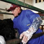 Dr. Cody Creelman. PHOTO: CANADIAN CATTLEMEN