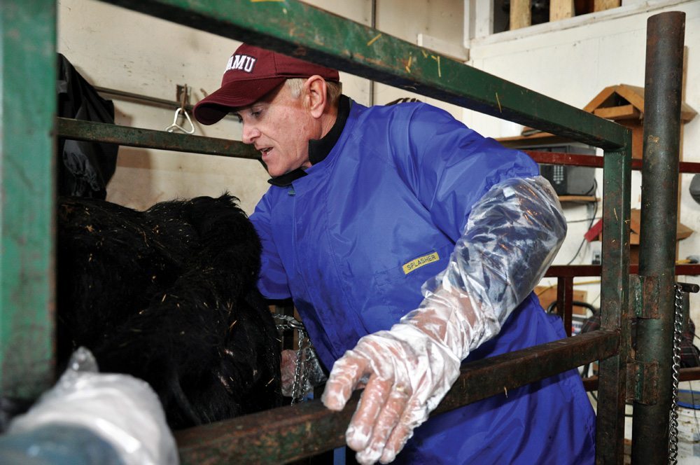 Dr. Cody Creelman. PHOTO: CANADIAN CATTLEMEN