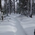 Bonne année!