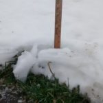 Sans clôture végétale : 10 cm de neige.