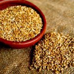 Une nouvelle céréale reconnue