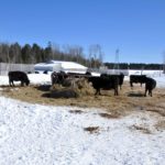 Nouvelles les plus populaires de la semaine