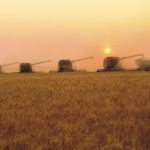Les producteurs de grains invitent le gouvernement à participer à une première étude québécoise élargie sur les semences traitées aux insecticides