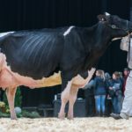 Les gagnants de l’Expo-Printemps 2018