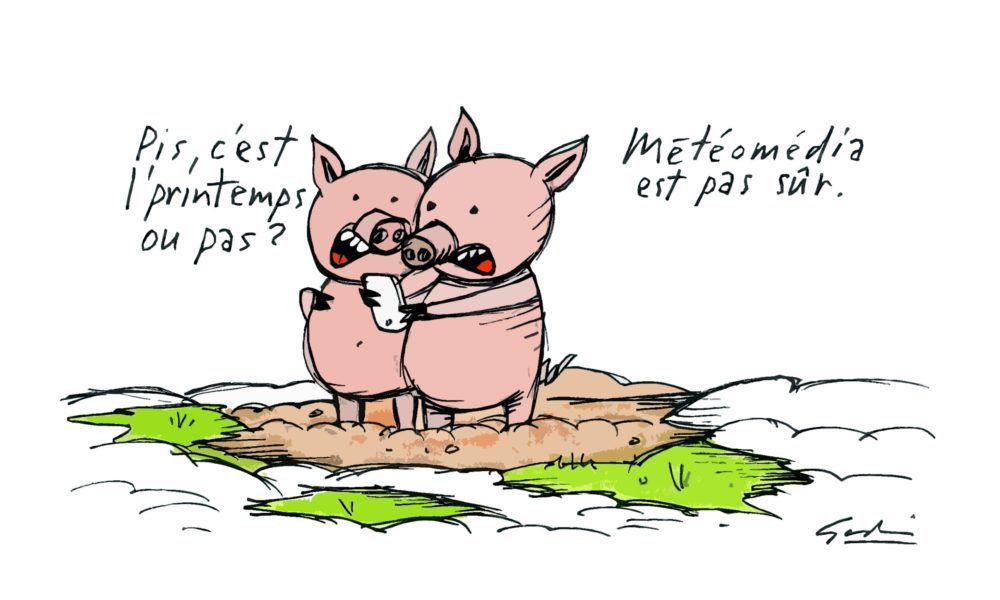 Allô, le printemps? Es-tu là?