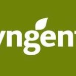 Syngenta obtient l’homologation du fongicide Revus