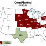 Semis de maïs réalisés en date du 15 avril 2018. Source: Kevin Van Trump