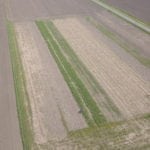 Le semis sur couverture végétale : une approche prometteuse