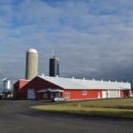 Il manque d’ingénieurs spécialisés en bâtiments agricoles
