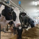 Les Producteurs de lait soulignent leur 40e anniversaire avec de multiples annonces