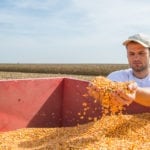 Les grains américains en demande