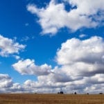 Marché des grains: turbulences météo et commerciales