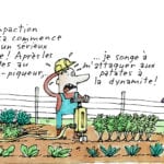 Les défis de la compaction