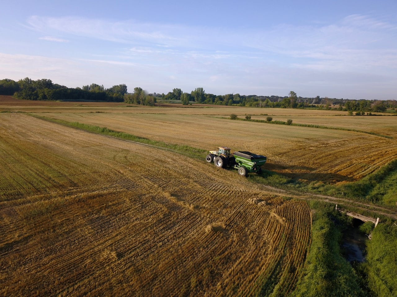 Vers des récoltes exceptionnelles dans le blé