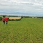 Nouvelles les plus populaires de la semaine