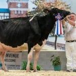 Les gagnants du Suprême Laitier 2018