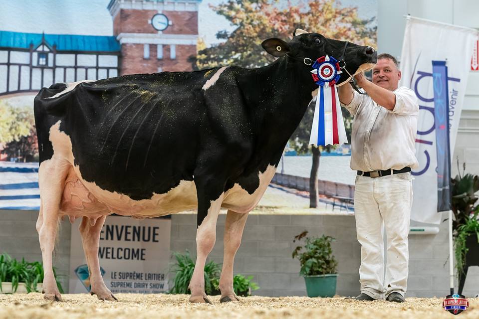 Les gagnants du Suprême Laitier 2018