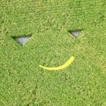 Nouvelles les plus populaires de la semaine