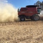 Profiter de la récolte pour réduire les semences de mauvaises herbes