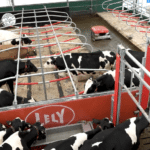 Nouveautés laitières au Canada’s Outdoor Farm Show: première partie