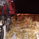 Semer du blé d’hiver un 27 octobre