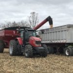 Les rendements obtenus sont en moyenne de 12 tonne et demi à l’hectare