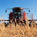 Marché des grains: Reprise prudente sur fond d’incertitude