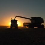 Les grains américains prisés à l’étranger