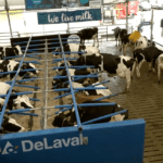 Nouveautés laitières au Canada’s Outdoor Farm Show: deuxième partie