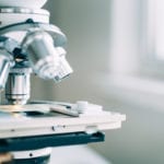 Les recherches sur la peste porcine africaine (PPA) devraient permettre la sortie d'un vaccin commercial d'ici cinq à dix ans.