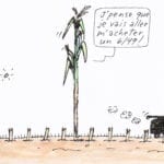 La récolte du maïs tire à sa fin…